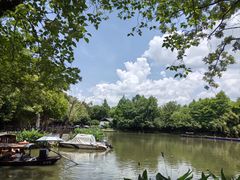 -西溪国家湿地公园