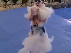-水王国温泉水世界