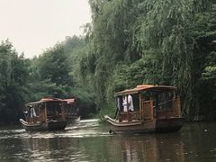 -溱湖国家湿地公园