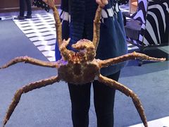 大堂-蟹之国·精品蟹料理(极地店)