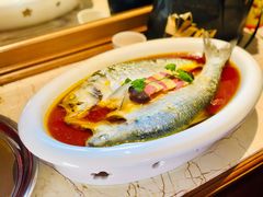 鲥鱼-玫瑰厅上海菜(兴国路店)
