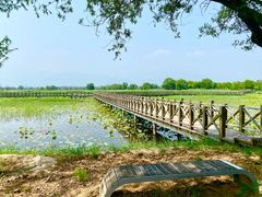 -野鸭湖国家湿地公园