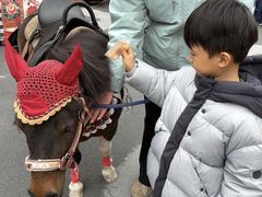 -上海市青苹果幼儿园(欧泊园)
