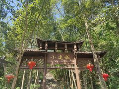 -小连城