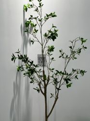 -HAO美皮肤管理·美甲美睫