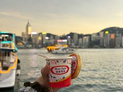 -富豪雪糕车流动点(尖沙咀店)