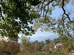 -塔川景区