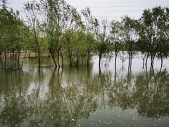 -永定河休闲森林公园