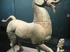 -广西壮族自治区博物馆