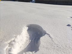 -中国人民抗日战争纪念雕塑园