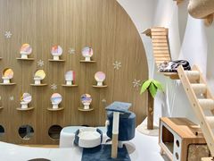 -COLOR PETS 撸猫馆·购猫·猫咖(长风大悦城店)