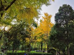 -莲湖公园