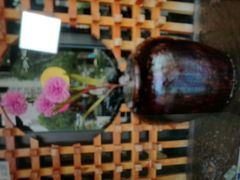 -白金汉爵大酒店(相城店)