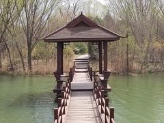-白浪绿洲湿地公园