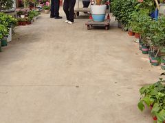 -石家庄市植物园