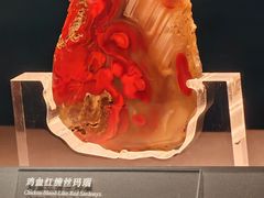 -北京大葆台遗址博物馆