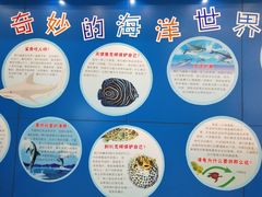 -上海海洋大学鱼文化博物馆(军工路校区)