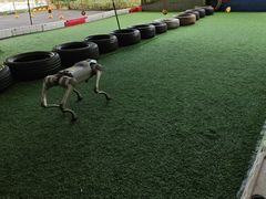 -黄腾峡天门悬廊