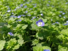 -COSTA COFFEE(上海月星环球港店)