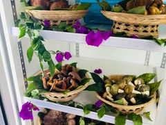 -鲜菌江湖正宗野生菌火锅
