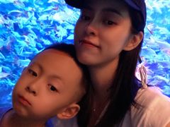 -成都浩海立方海洋公园