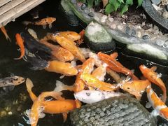 -上海大自然野生昆虫馆(东方明珠·爬宠昆虫探索中心)