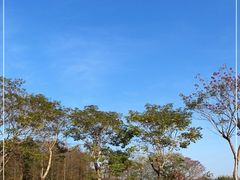 -天适樱花悠乐园