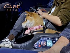 -天虹购物中心(石路店)