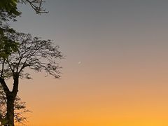 -深圳湾公园(南山区)
