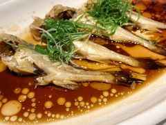 -渔人码头(中南店)