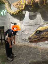 -Zoolung Zoolung动物主题公园(海信广场店)