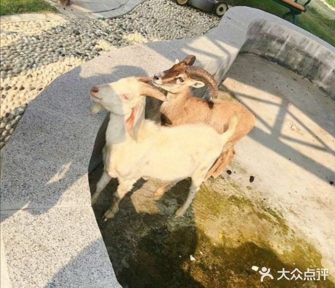 宅在家，不如出门放放电