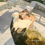 宅在家，不如出门放放电