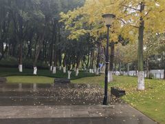 -重庆市江北嘴中央商务区中央公园