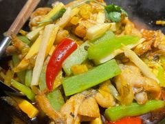 湘西霸王蛙-望湘园·湖南菜(宏伊店)