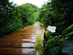-白草畔自然风景区