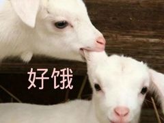 -瑞幸咖啡(深圳宝安机场国内到达厅店)