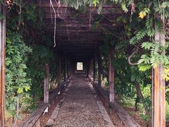 -中华石雕艺术园