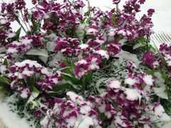 iphone_upload_pic-人民防洪胜利纪念塔