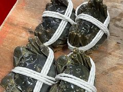 -阳澄湖大闸蟹·琼灵阁牌品牌连锁(吴中总店)