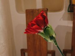 -茶花妹子云南餐厅(传媒大学店)