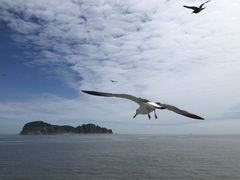 -海驴岛(荣成市)