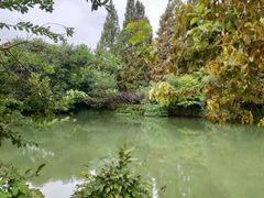 -西湖风景区-江洋畈生态公园