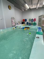 -海豚湾婴儿游泳(塘沽店)