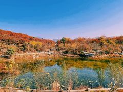 -周口店坡峰岭风景区