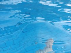 -重庆海昌加勒比海水世界