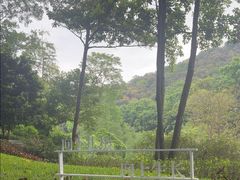 -云溪植物园