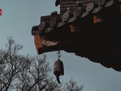 -广富林郊野公园
