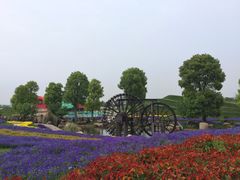 -南通洲际绿博园