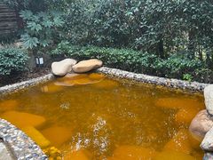 -天目湖涵田半山温泉